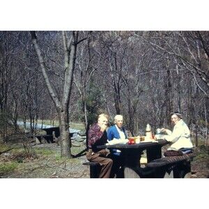 Kodak Slide 1940s Red Border Kodachrome Friends Having Lunch In A Park